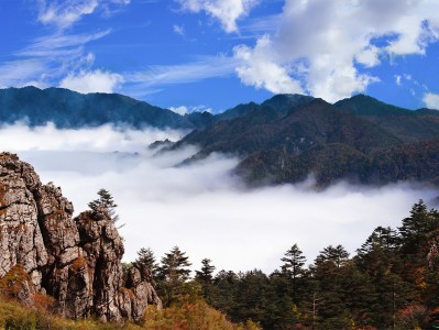 北京神农架：秘境之旅，云海奇观，草原牧歌，探寻世外桃源